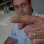 ENTOMOASSAY