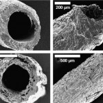 Silk fibroin microtubes for blood vessel engineering